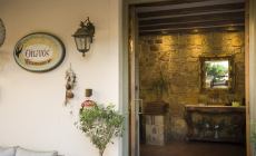 ΟΙΩΝΟΣ ΚΑΦΕ ΜΠΑΡ ΕΣΤΙΑΤΟΡΙΟ