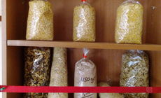 ΤΟ ΠΑΡΑΔΟΣΙΑΚΟ