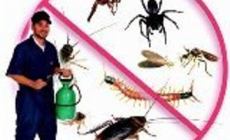 ΗΛΙΟΣ -  ΑΠΕΝΤΟΜΩΣΕΙΣ ΜΥΟΚΤΟΝΙΕΣ